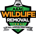 Fulton Wildlife Removal